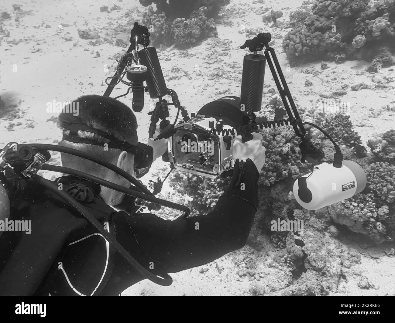 Diving female underwater Black and White Stock Photos & Images Alamy