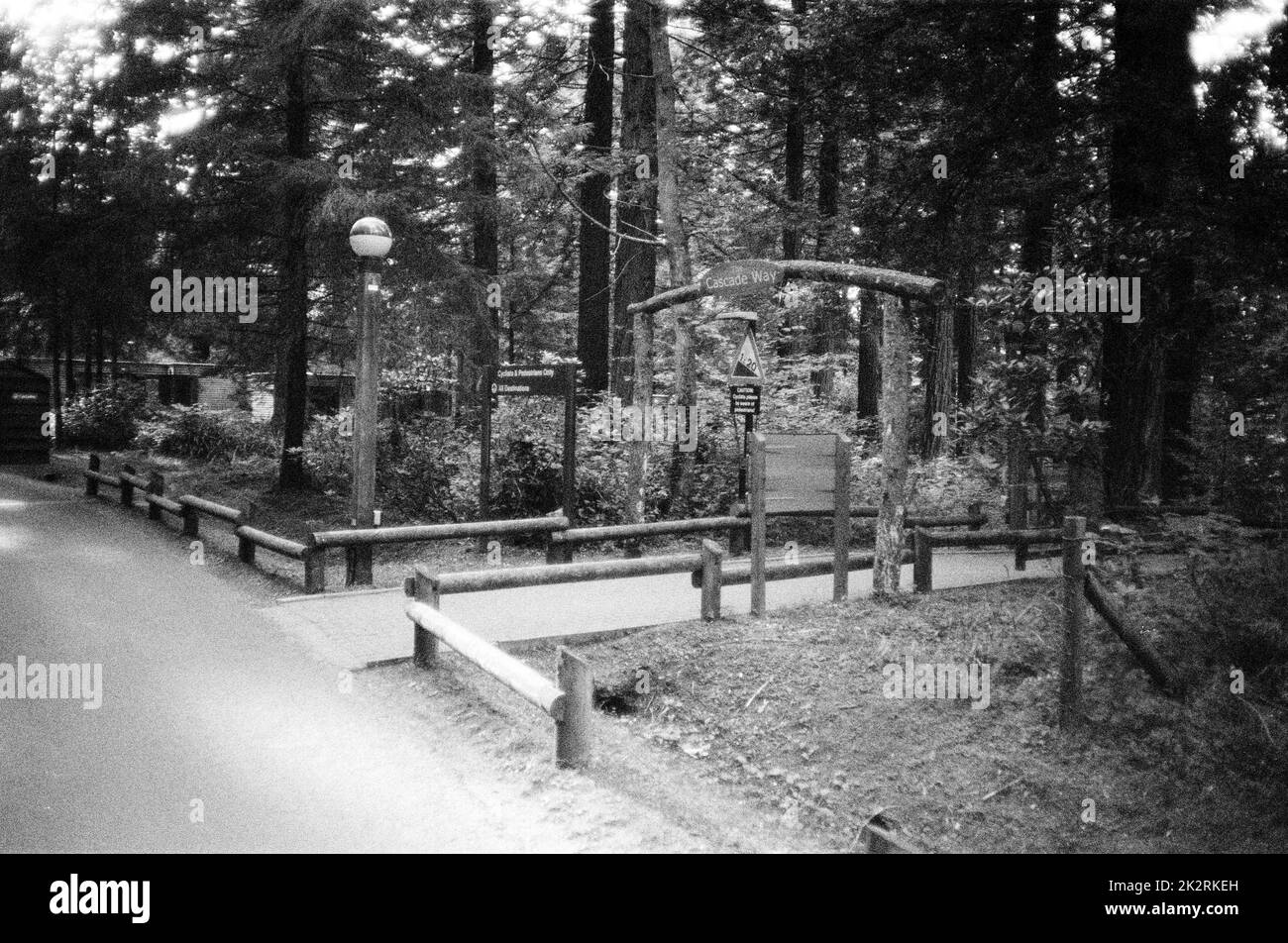 Centre Parcs, Longleat, Wiltshire, England, united Kingdom Stock Photo