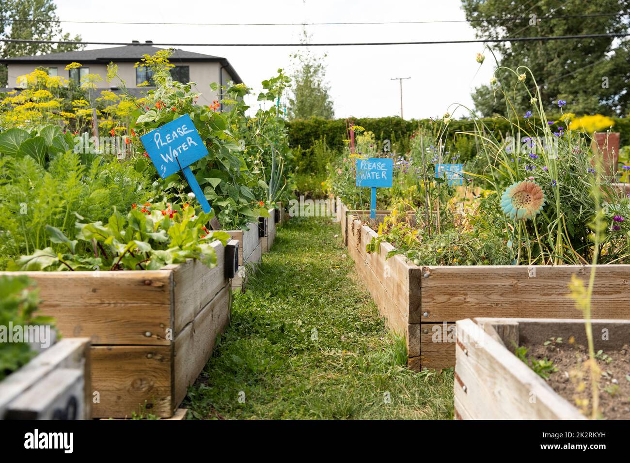Community Planters Vegetables with flowers hi-res stock photography and images - Alamy