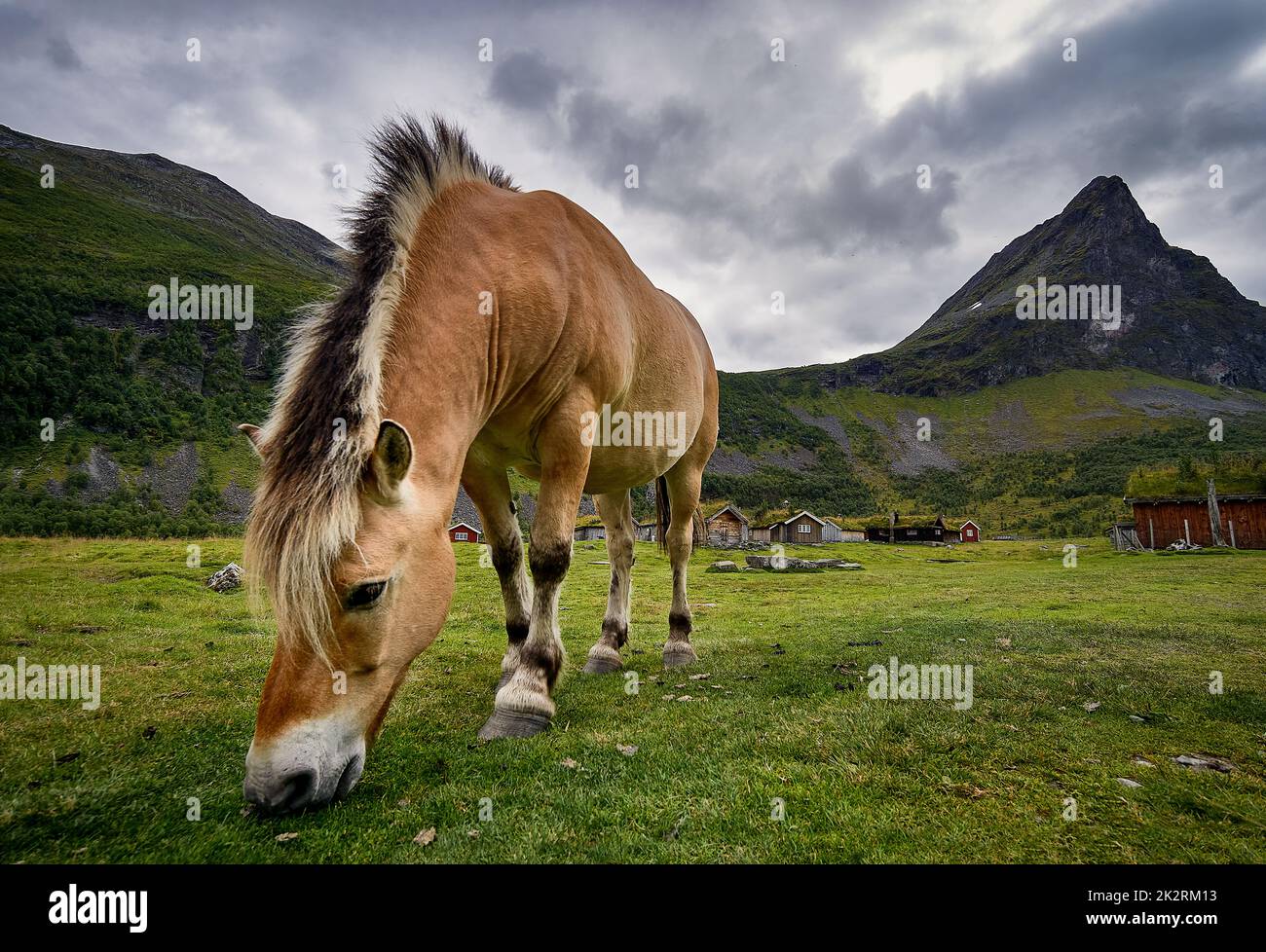 Romedalen, Ørsta, Sunnmøre, Møre og Romsdal, Norway Stock Photo Alamy