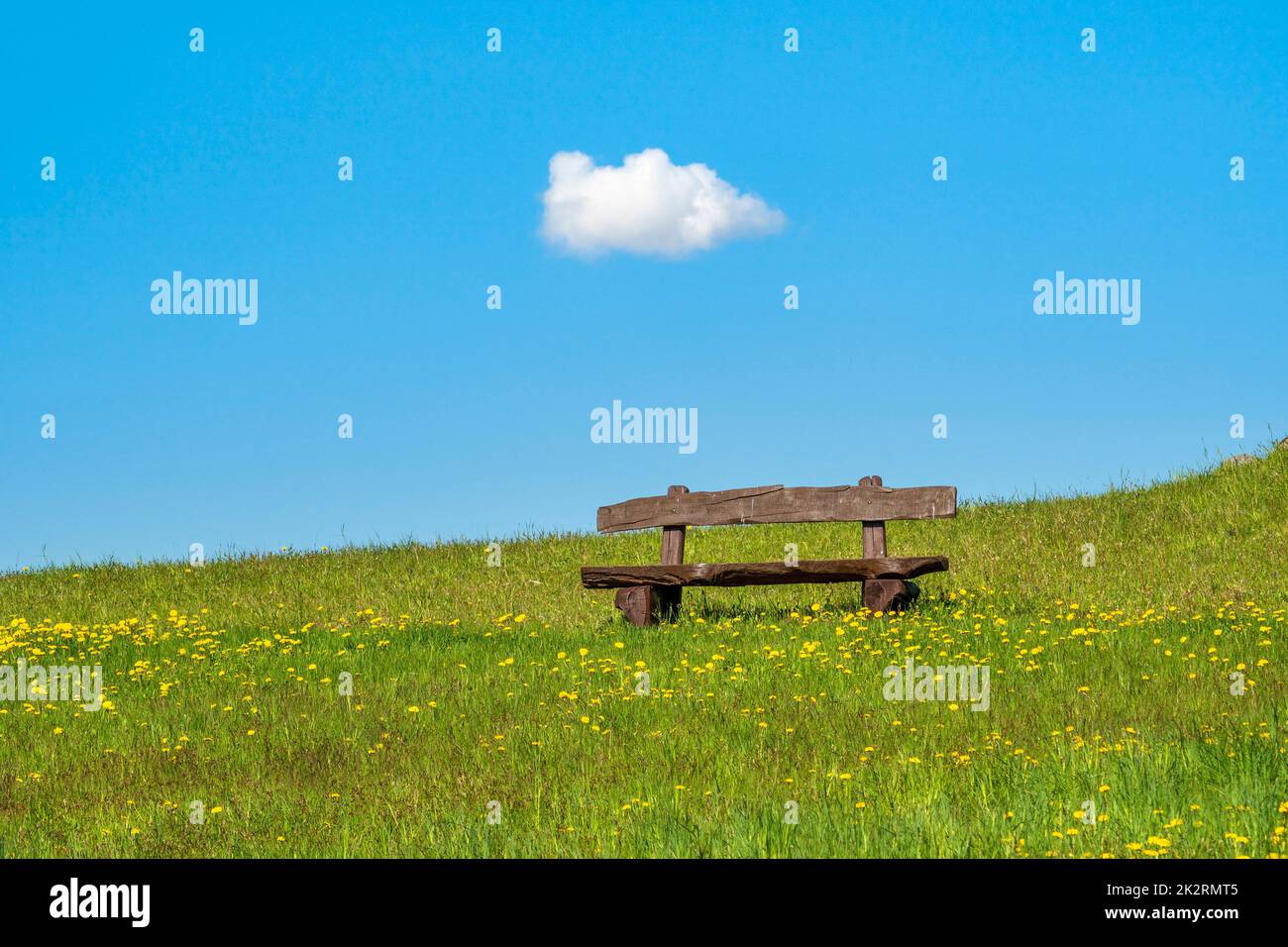 Bench on a meadow with a single cloud in a sky Stock Photo