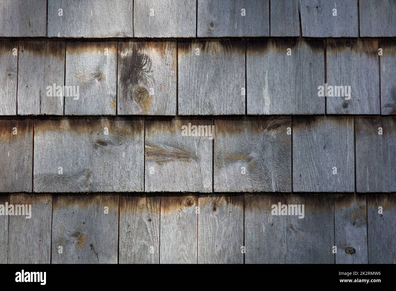 natural wood cedar shingle wall organic texture background Stock Photo