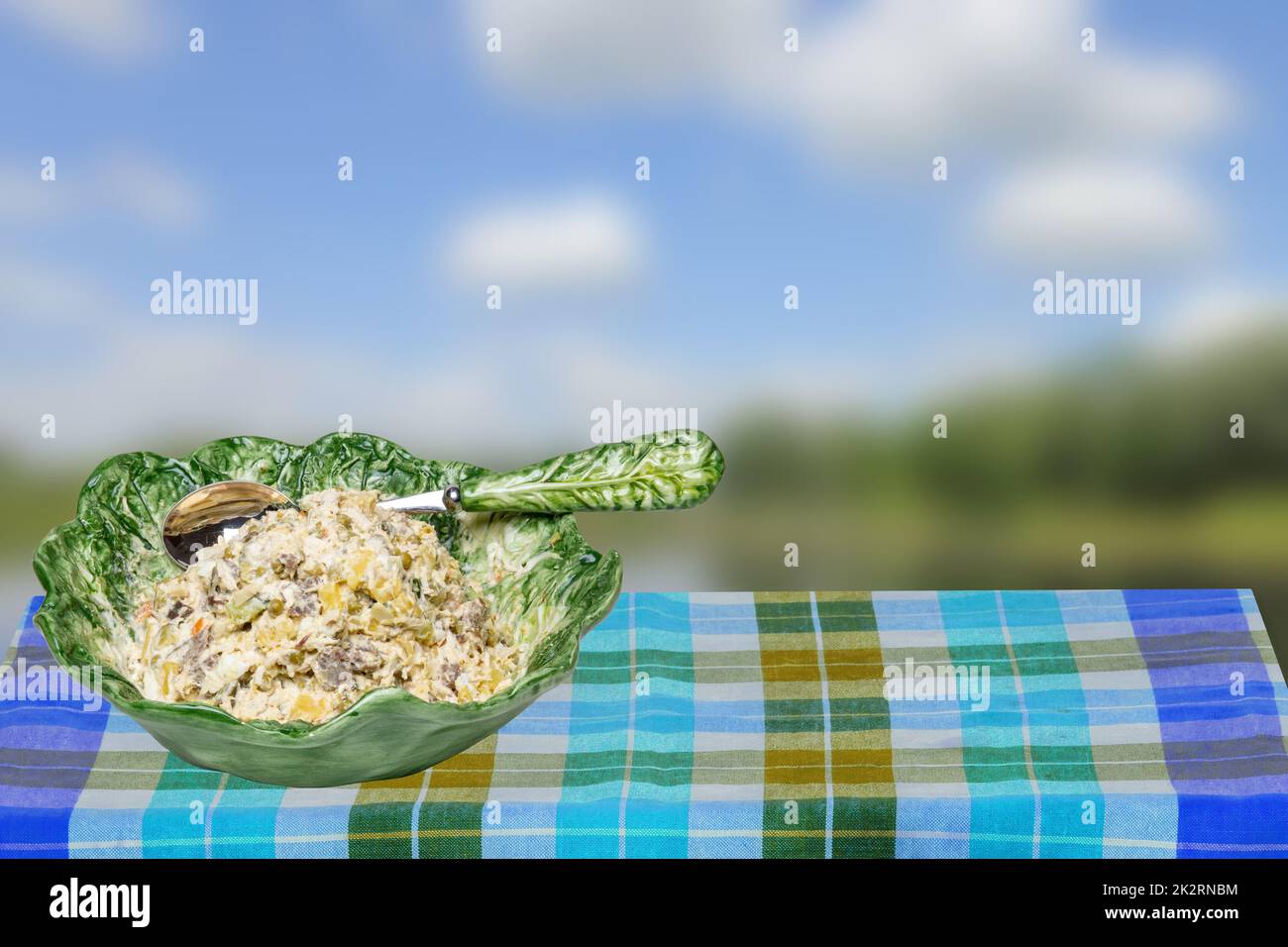 A decorative bowl with salad and matching spoon on a checkered table cloth over blurred natural background. Space for food and product display montage. Healthy food. Stock Photo