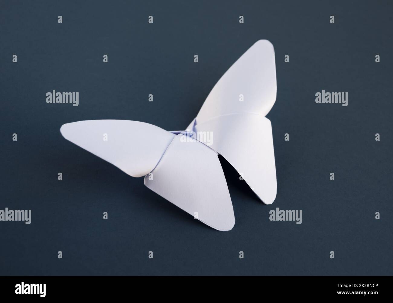 Paper Butterfly, How to make Origami Butterflies, Artificial Butterfly