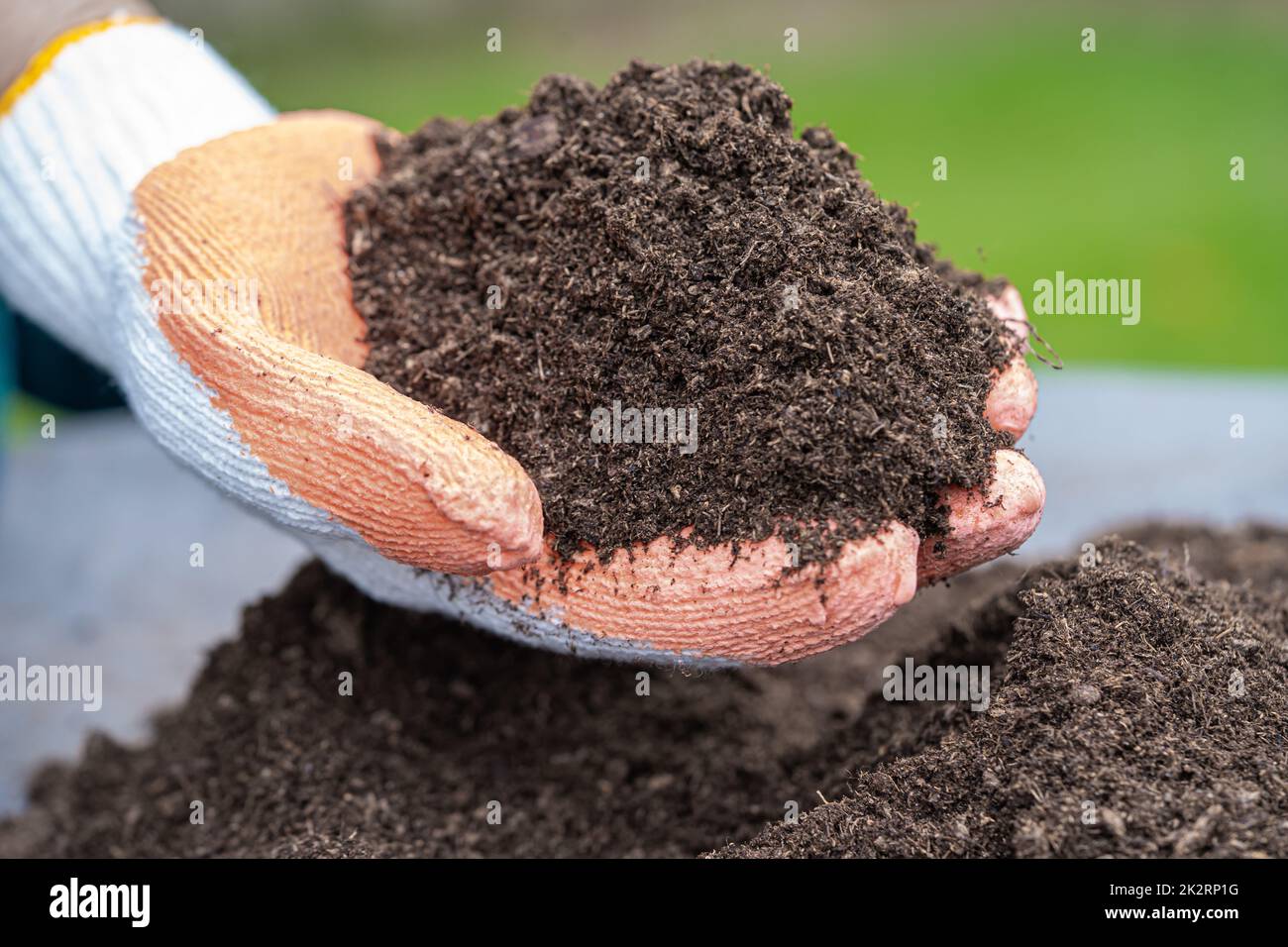 Hand holding peat moss organic matter improve soil for agriculture organic plant growing, ecology concept. Stock Photo
