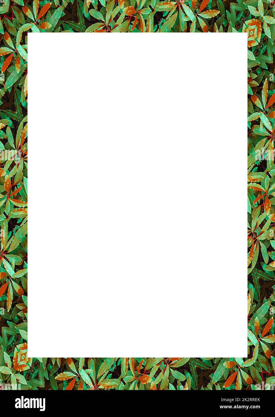 White Frame with Decorated Borders Stock Photo