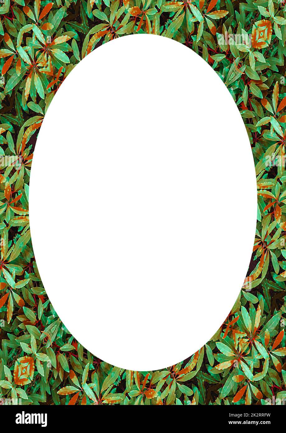 Circle Frame Background with Decorated Borders Stock Photo