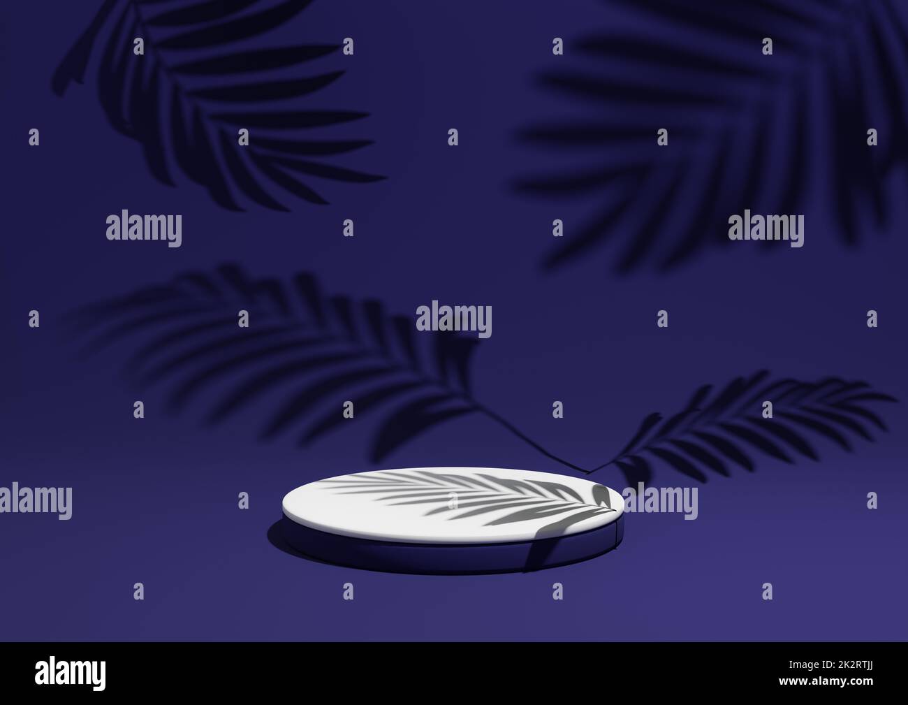 Dark blue, 3D render of a simple, minimal product display composition backdrop with ont podium or stand and leaf shadows in the background for nature products. Stock Photo
