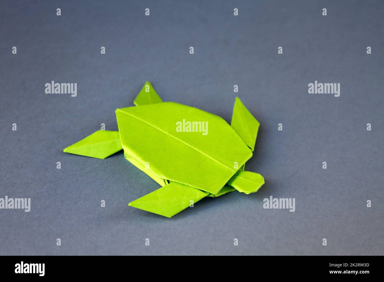 Green paper turtle origami isolated on a grey background Stock Photo