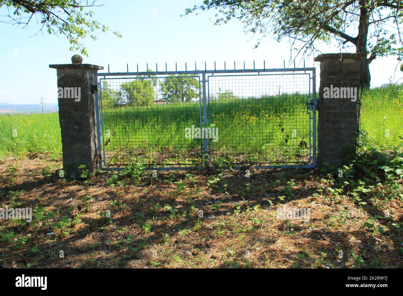 Closed single gate on a garden property Stock Photo
