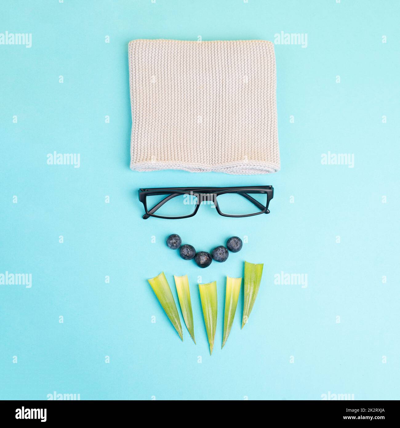 Human face of a man made with a wool hat, glasses and leaves as a beard, funny minimalist portrait, eco freak lifestyle, nerd Stock Photo