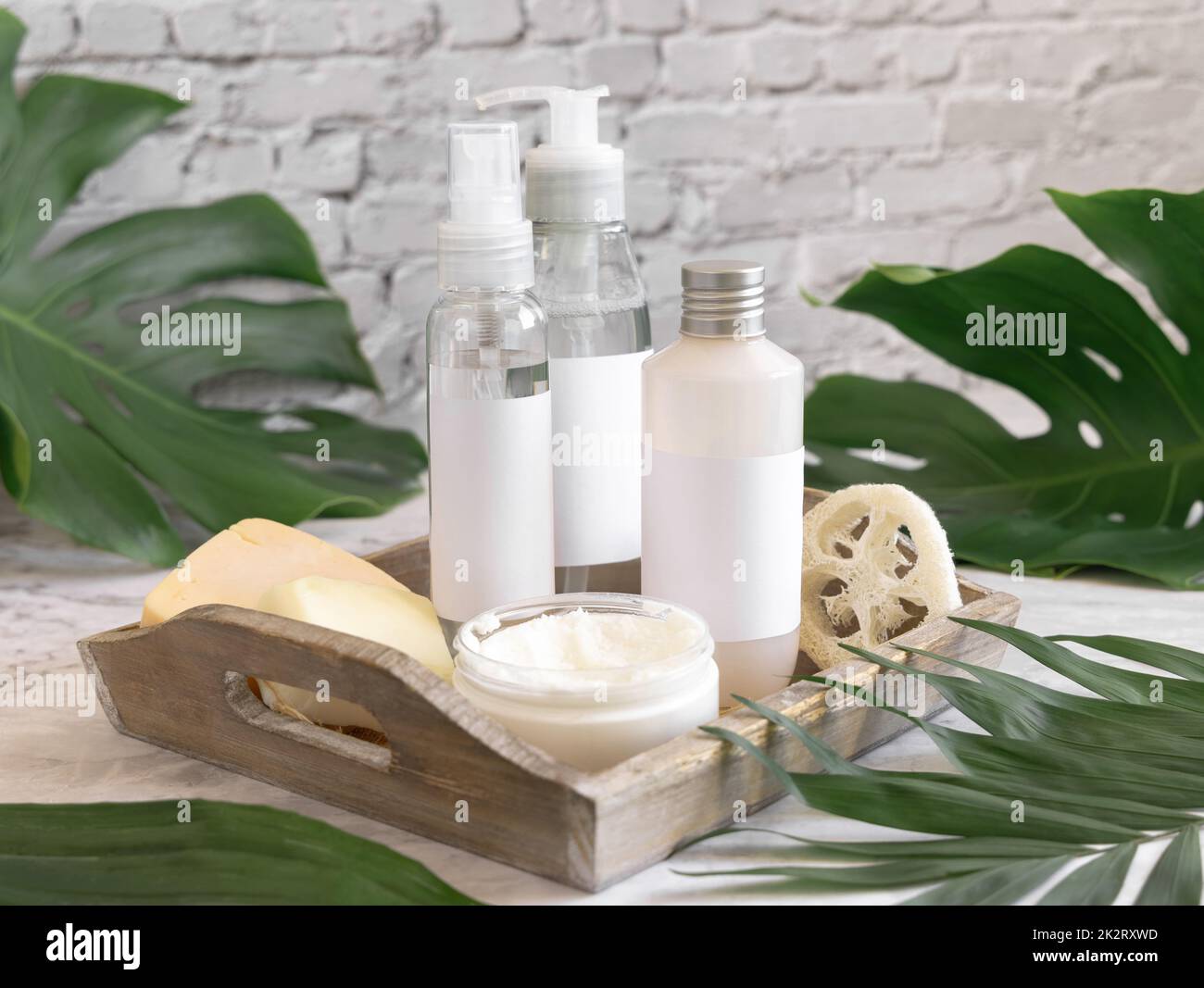 Cosmetic bottles and skin care accessories near monstera leaves close