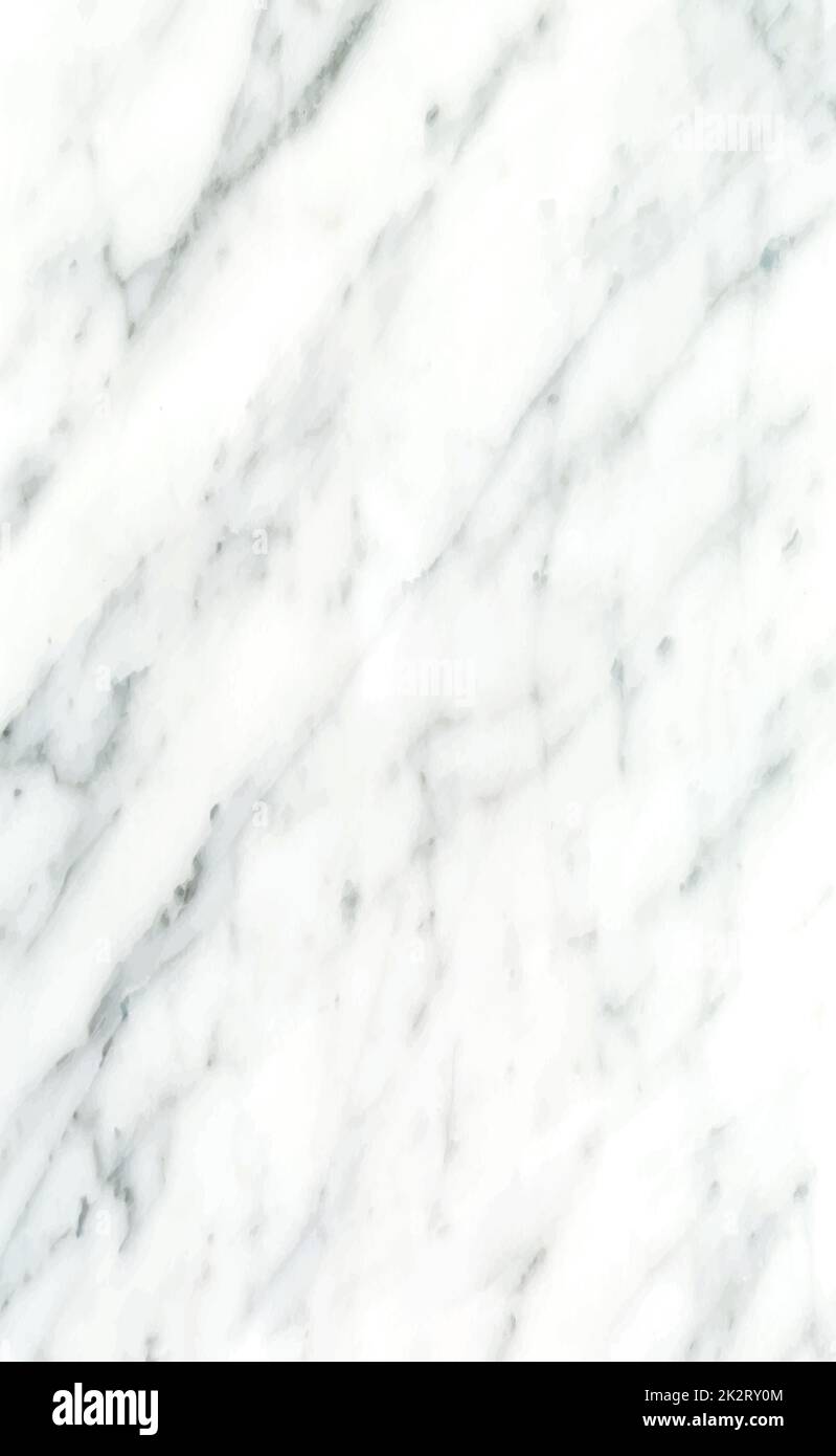 Stone texture white with black marble background - Vector Stock Photo ...