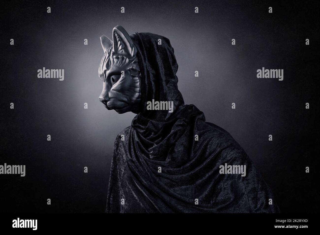 Black cat in hooded cloak at night over dark misty background Stock Photo