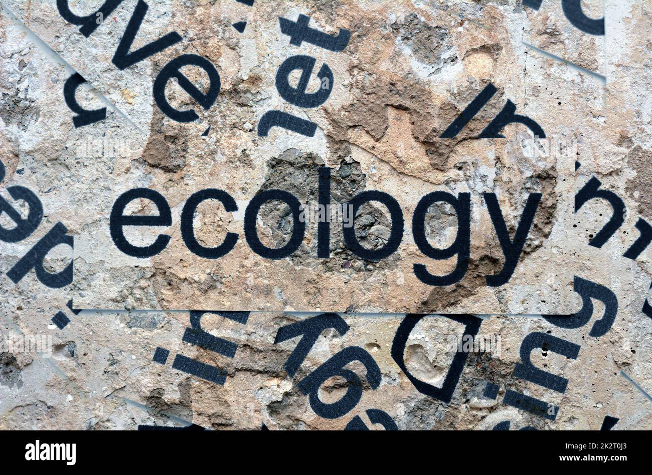 Ecology word cloud Stock Photo