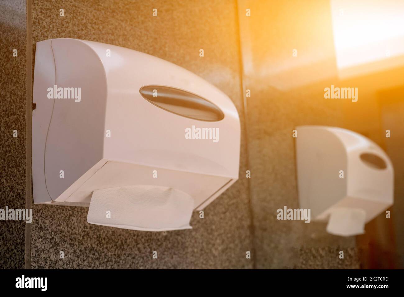 Tissue paper role in toilet on cement wall, Tissue paper box, Tissue