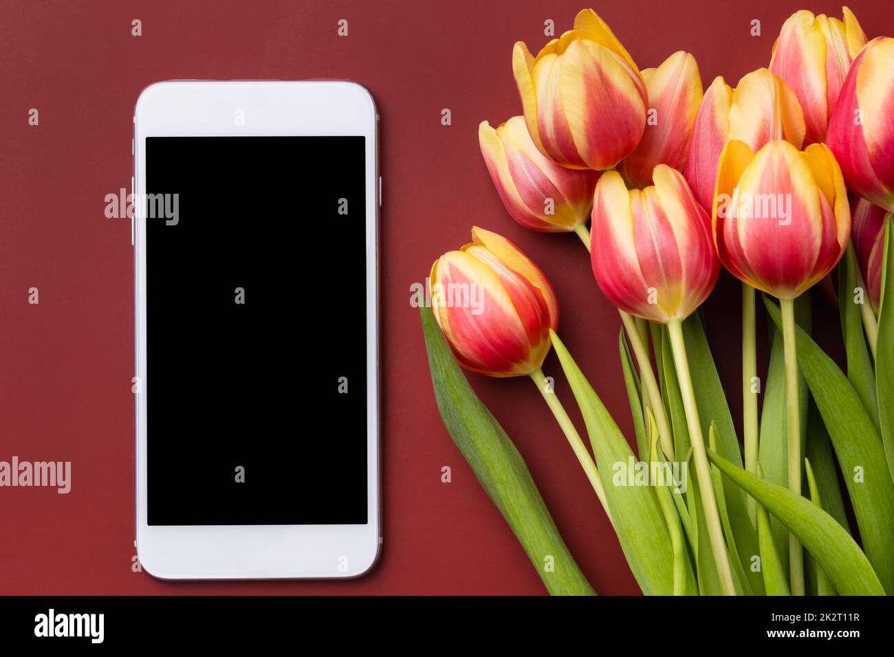 Smartphone mockup with tulips on claret background. Device screen mock up for presentation or appl design Stock Photo