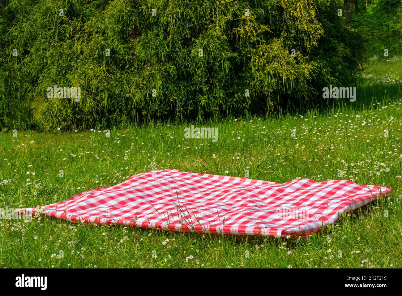 Red picnic blanket. Red checkered picnic cloth on a flowering meadow with daisy flowers. Beautiful backdrop for your product placement or montage. Stock Photo