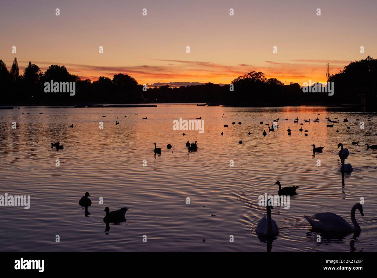 The Serpentine in Hyde Park, London, UK, at dusk, on the 16th September 2022 Stock Photo