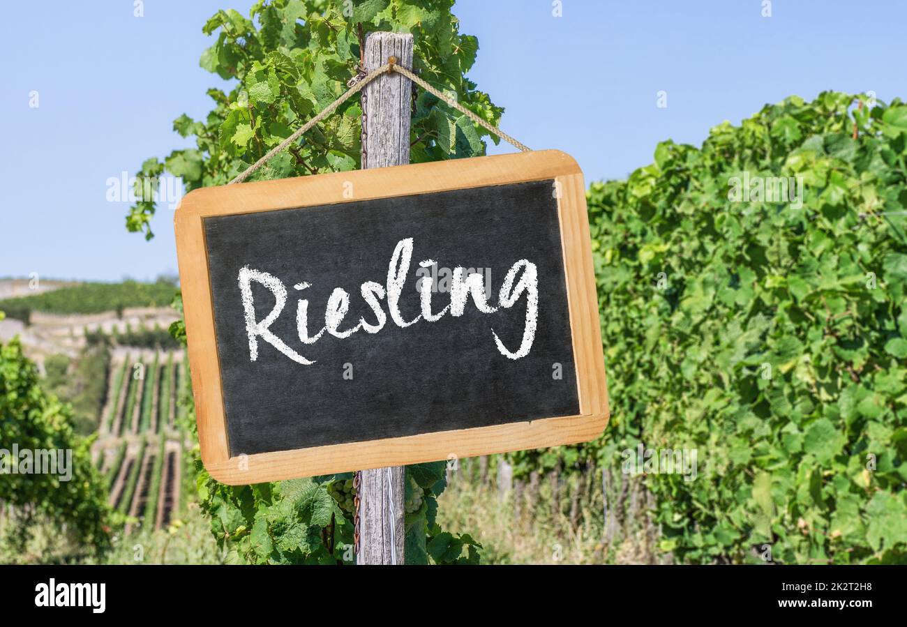 Blackboard in the vineyards - Riesling Stock Photo
