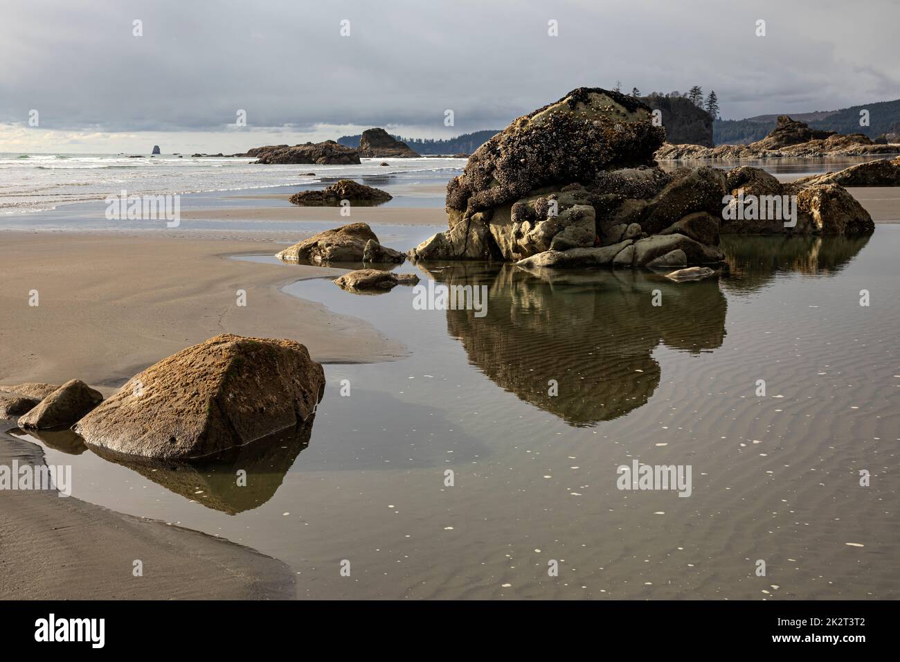 WA22045-00...WASHINGTON - Low tide at Ruby Beach on the Pacific Coast in the Olympic National Park. Stock Photo