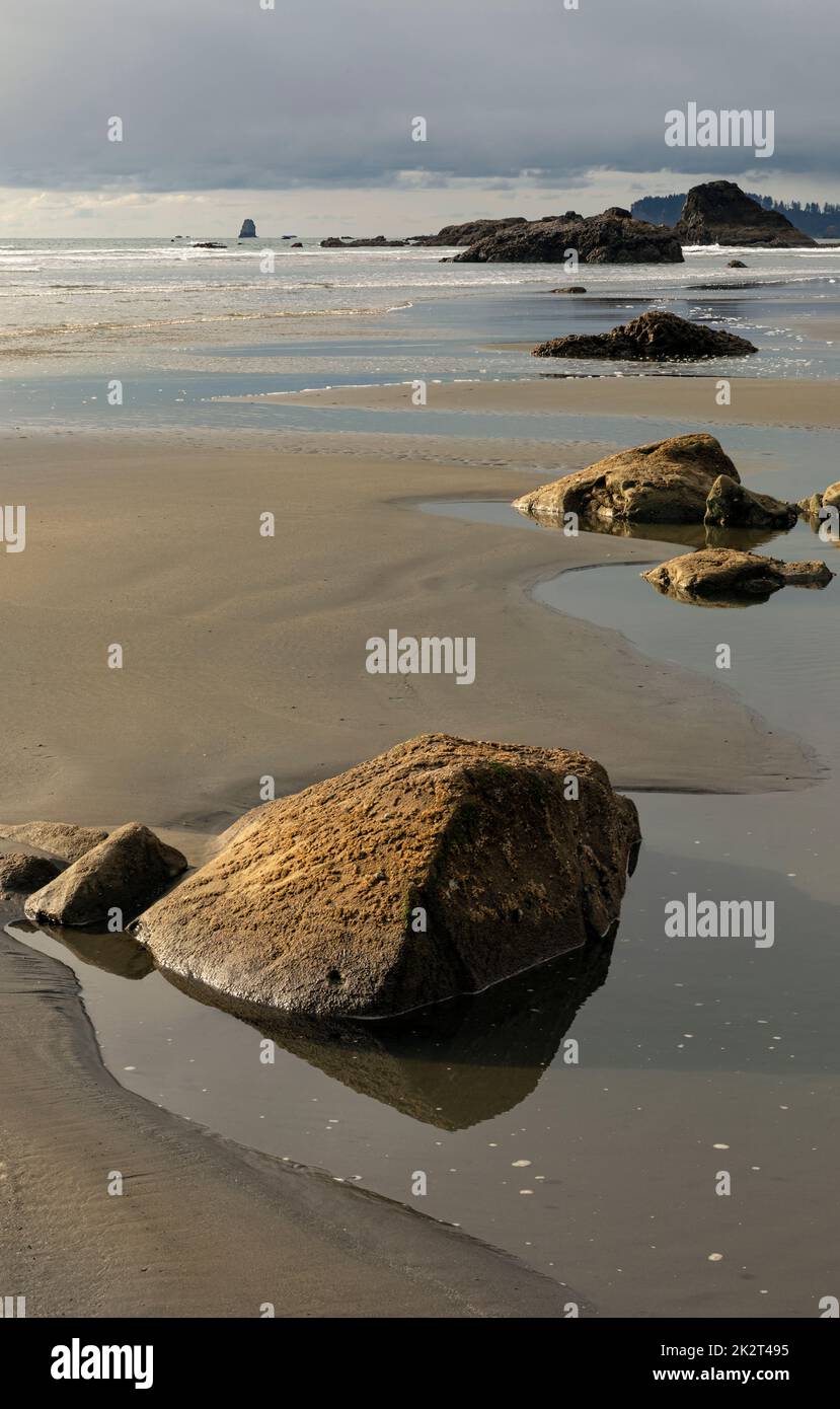 WA22045-00...WASHINGTON - Low tide at Ruby Beach on the Pacific Coast in the Olympic National Park. Stock Photo