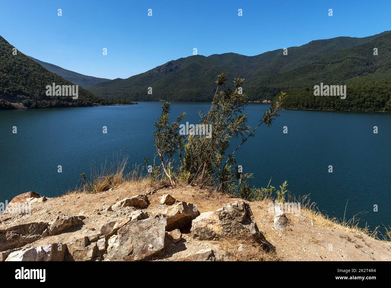 Forest landscape at the Biobio River, Chile Stock Photo