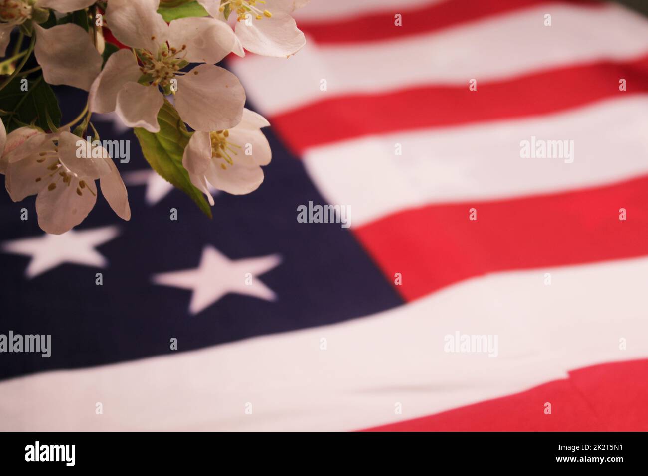 Apple blossoms and the U.S. flag. The concept of Independence Day, Remembrance Day, Elections. Stock Photo