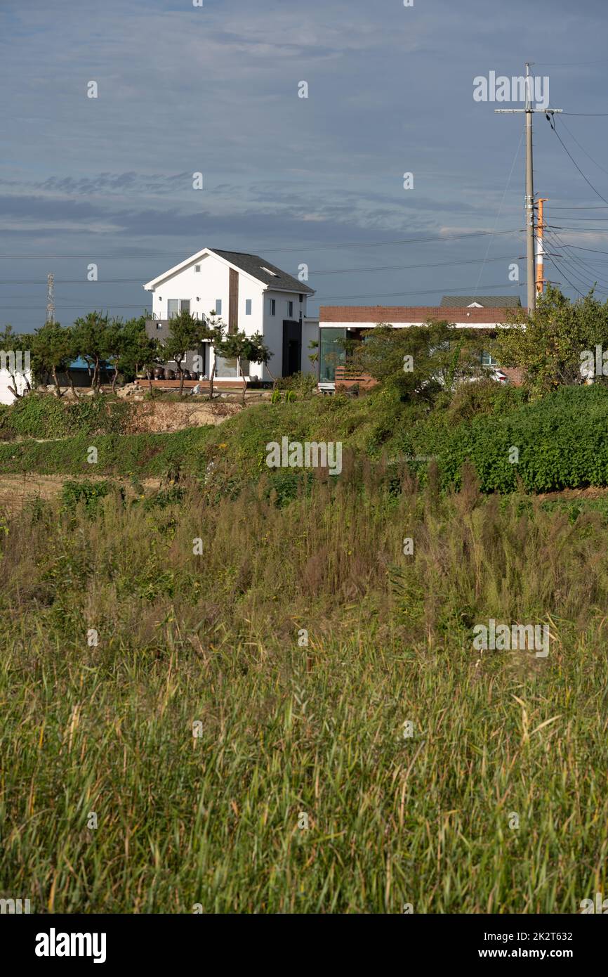 A vertical shot of houses behind greenery field in Pyeongtaek-si Stock Photo