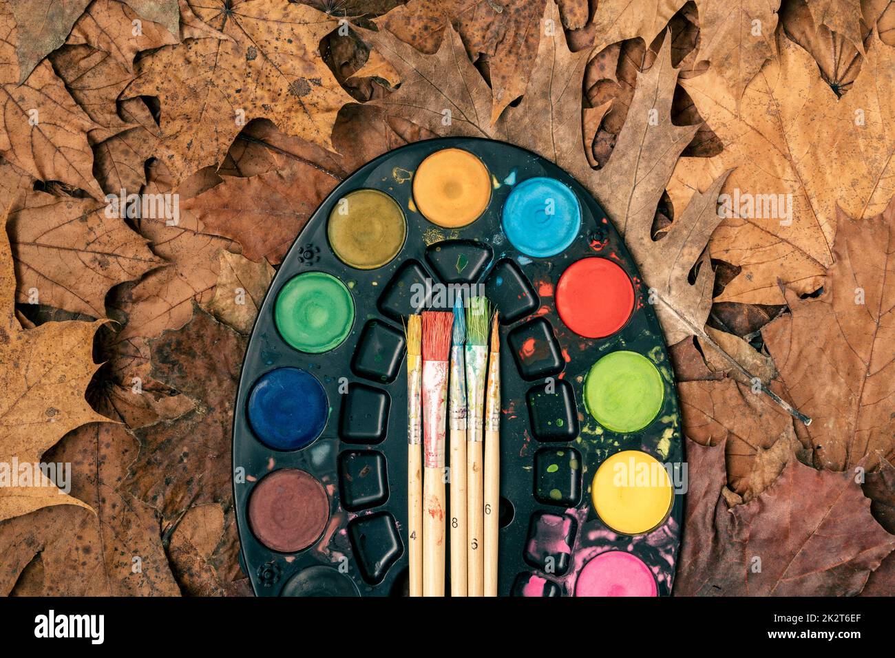 Watercolor paints, brushes and autumn leaves Stock Photo
