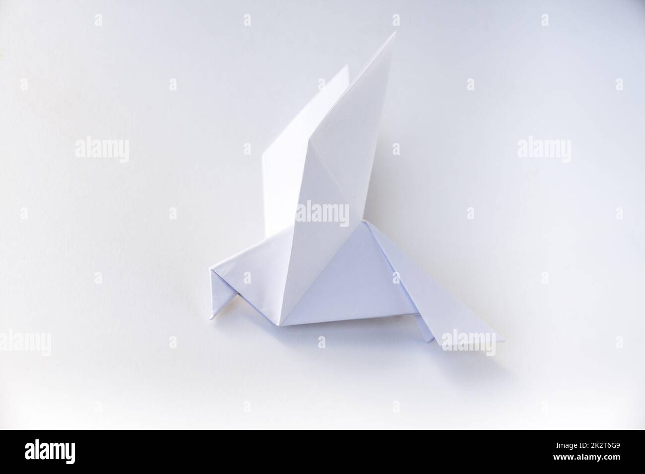 Paper dove origami isolated on a white background Stock Photo