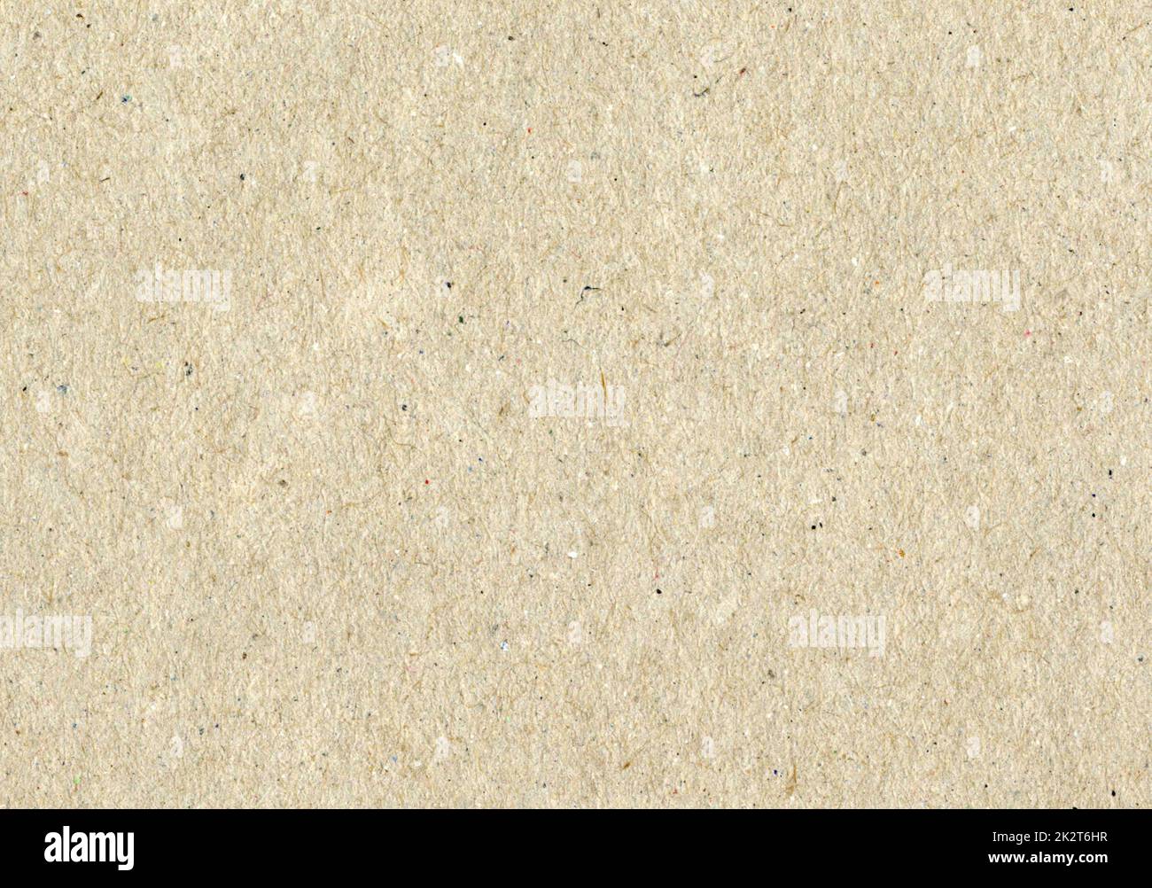 High detail close up high resolution paper texture background scan uncoated recycled fine fiber grain small colorful dust particles creme light brown beige color for wallpaper presentation copy space Stock Photo