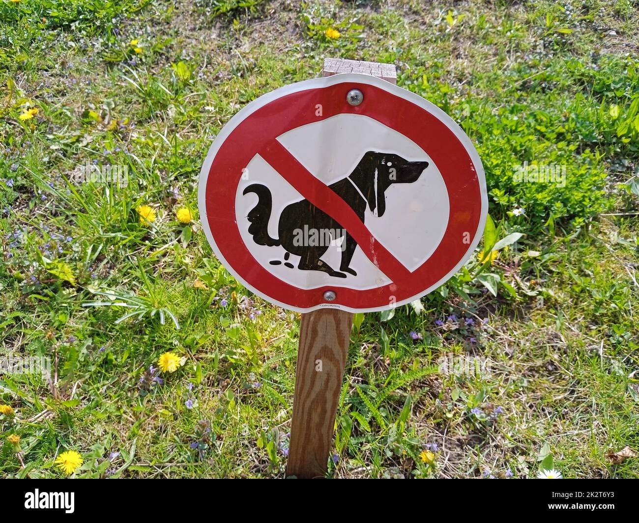 dog feces sign in the park Stock Photo