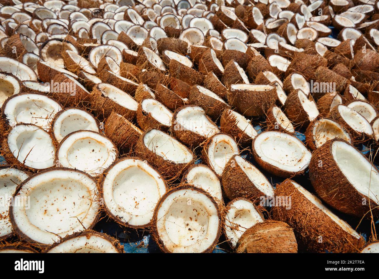 Drying coconuts, Kerala, South India Stock Photo - Alamy