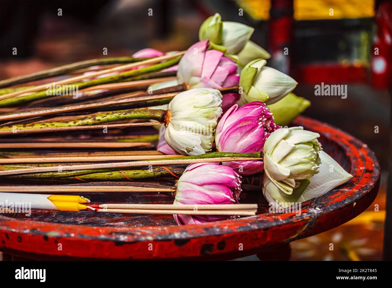 Lotus flowers used as offering in Buddhist temple Stock Photo