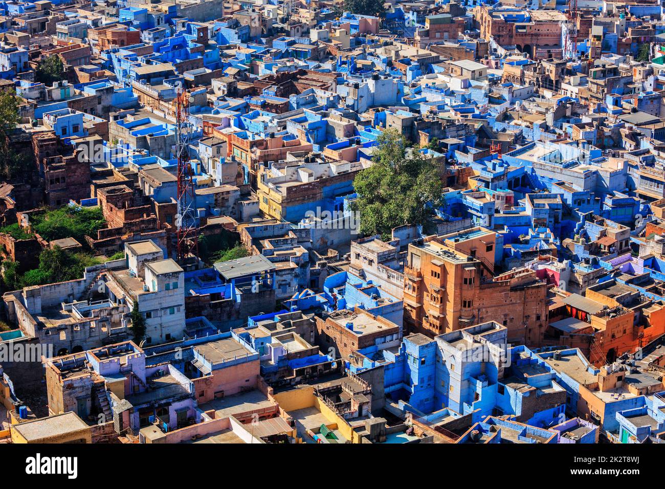 Jodhpur the Blue city, Rajasthan, India Stock Photo - Alamy