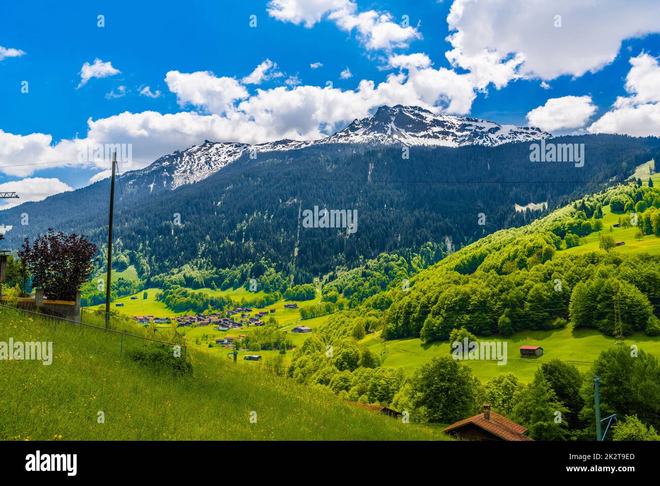 Hills mountains with forest Klosters-Serneus, Davos, Graubuende Stock Photo