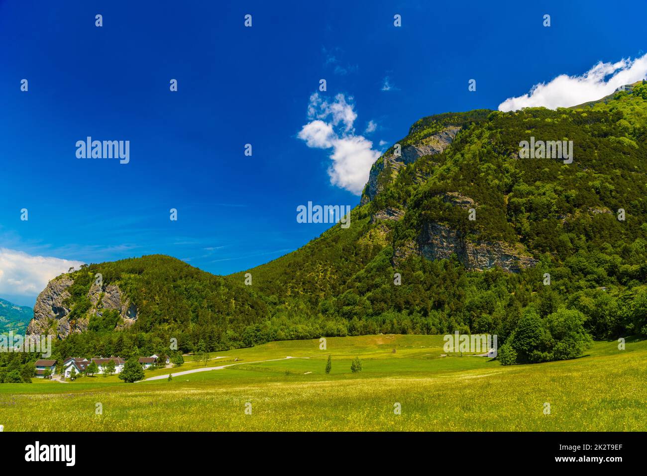 Hills mountains with forest in Alps, Vaduz, Oberland, Liechtenst Stock Photo