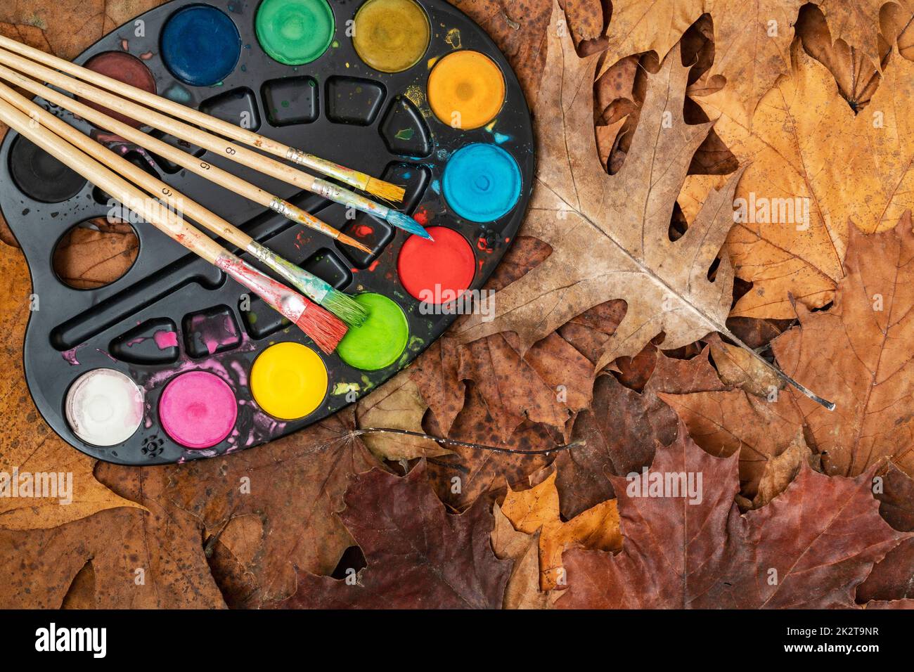 Watercolor paints on the autumn leaves Stock Photo