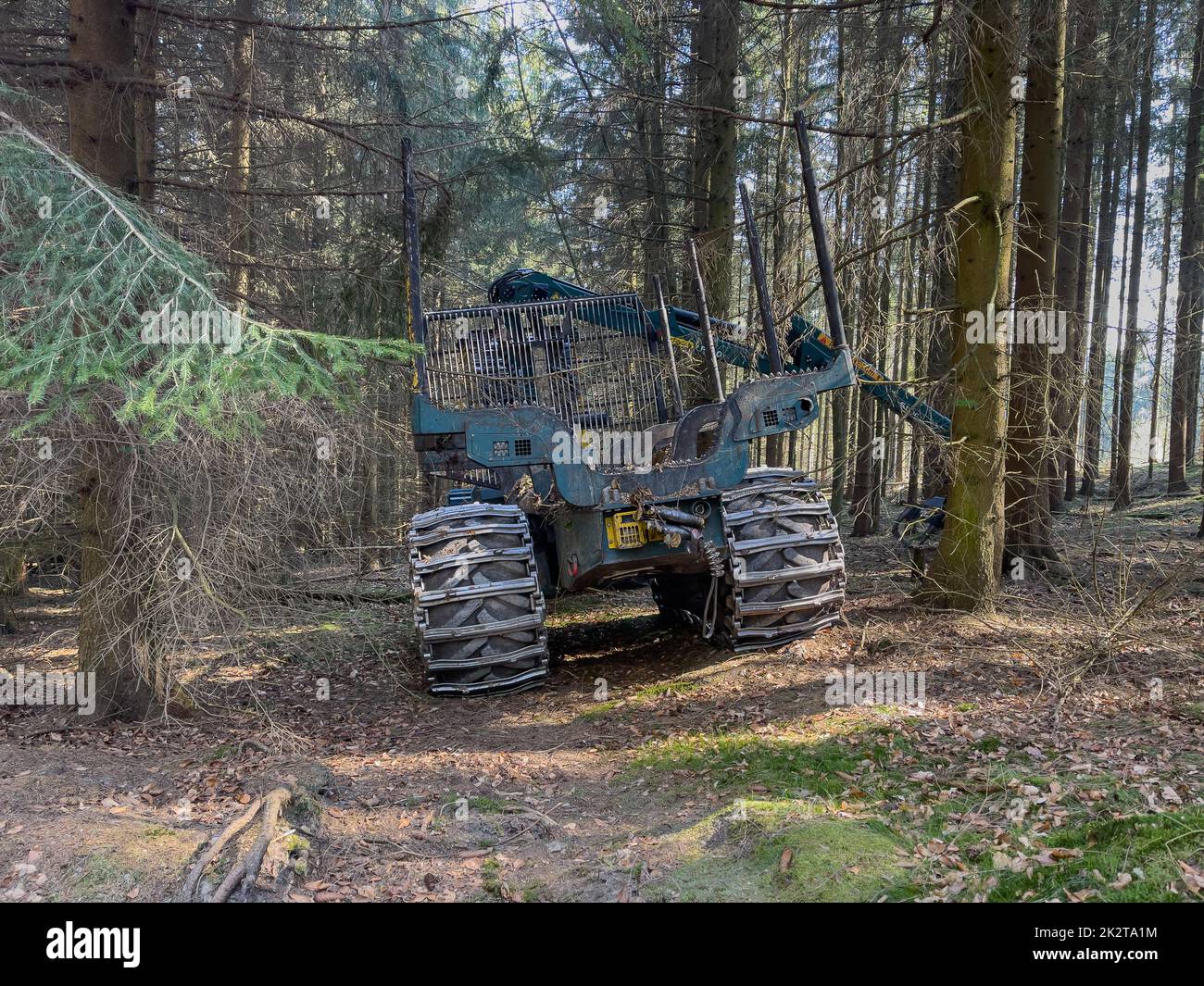 CraneForwarder in a German Forrest Stock Photo