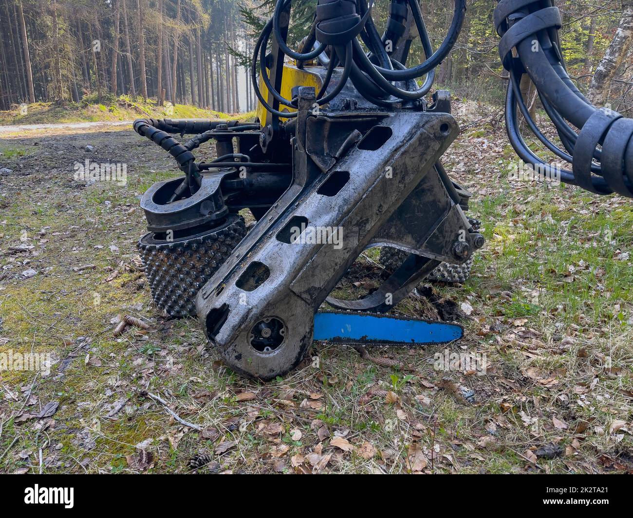 Harvester in a German Forrest Stock Photo