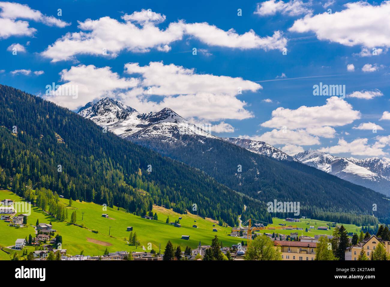Alps Mountains covered with pine forest, Davos, Graubuenden, Sw Stock Photo
