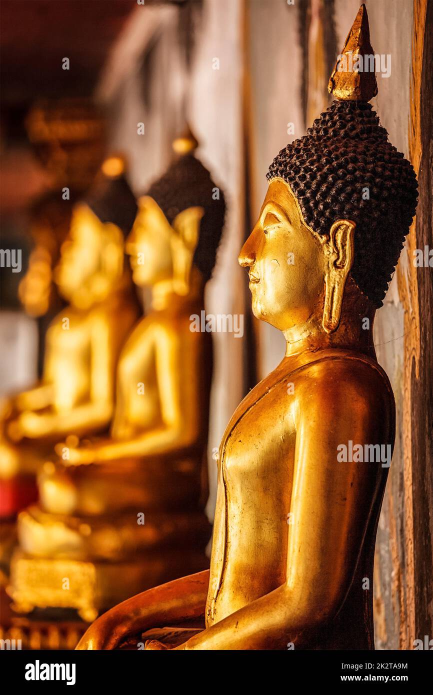Gold sitting Buddha statues in Thailand Stock Photo Alamy