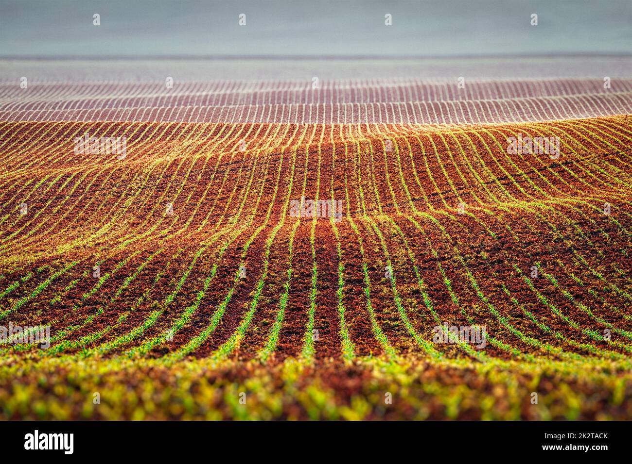 Rolling fields of Moravia Stock Photo - Alamy