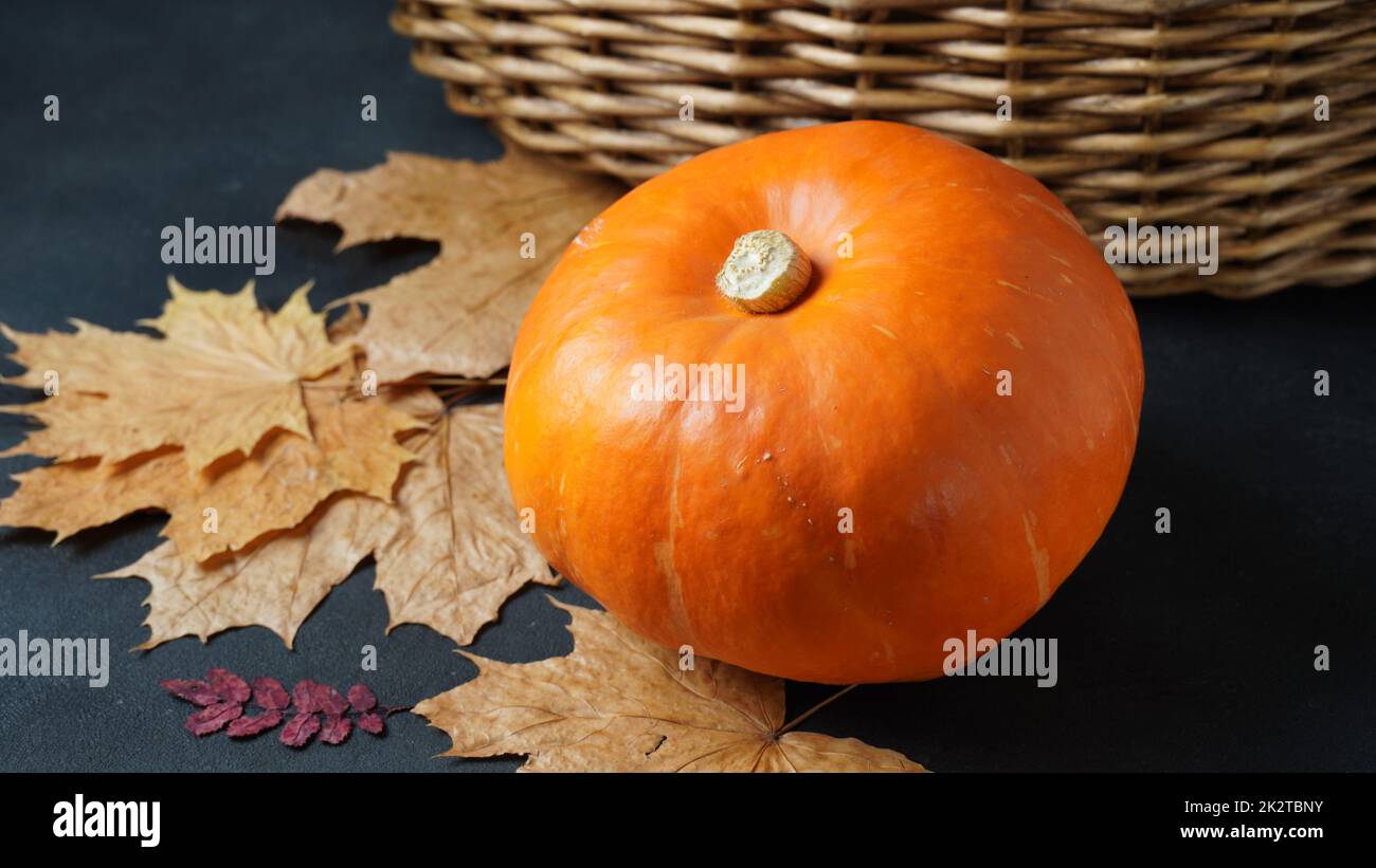 Autumn still life with pumpkin and dry leaves Stock Photo - Alamy