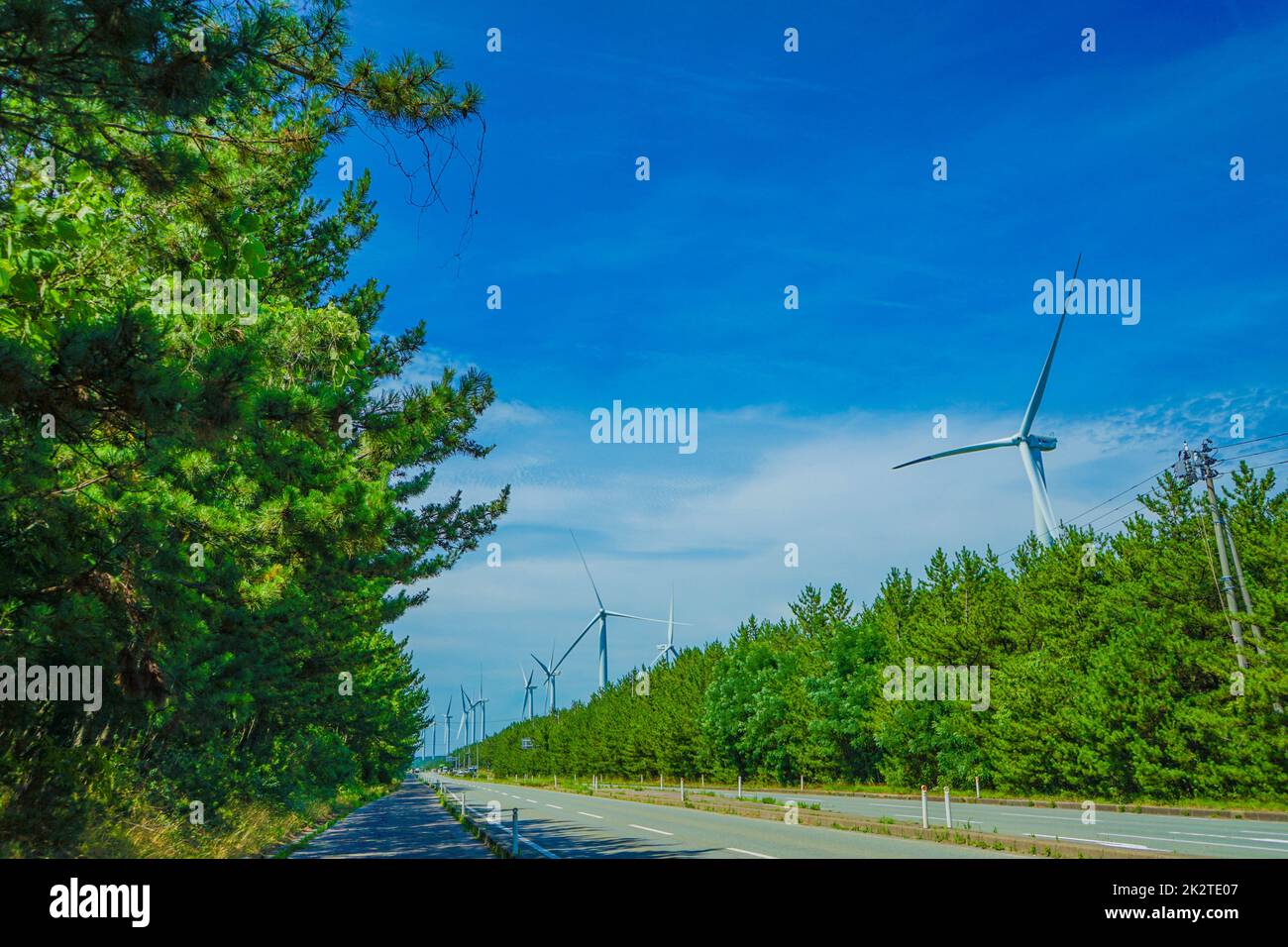 Large wind power station (renewable energy Stock Photo Alamy