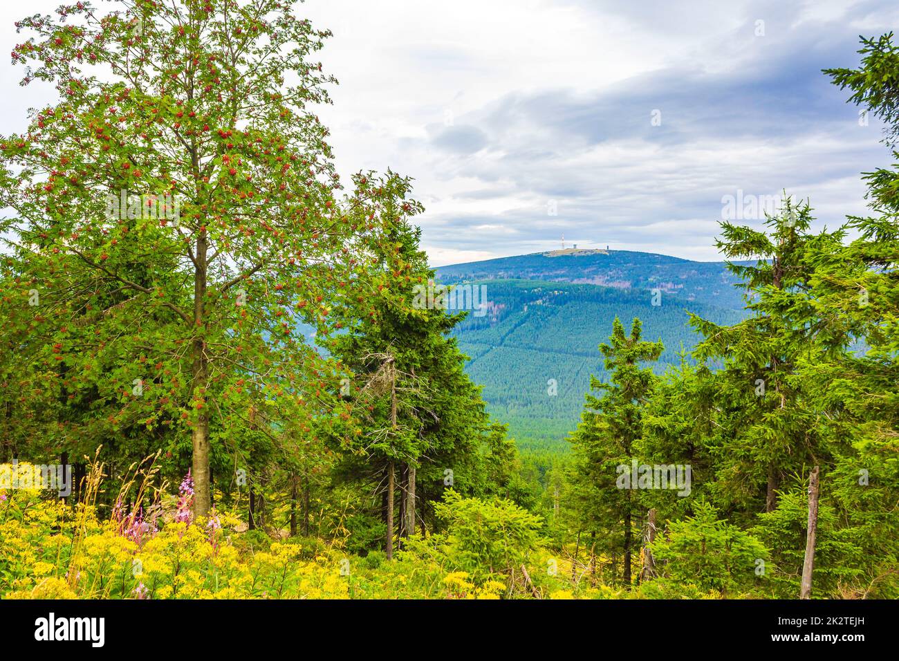 Landscape Panorama view on top of Brocken mountain Harz Germany Stock Photo