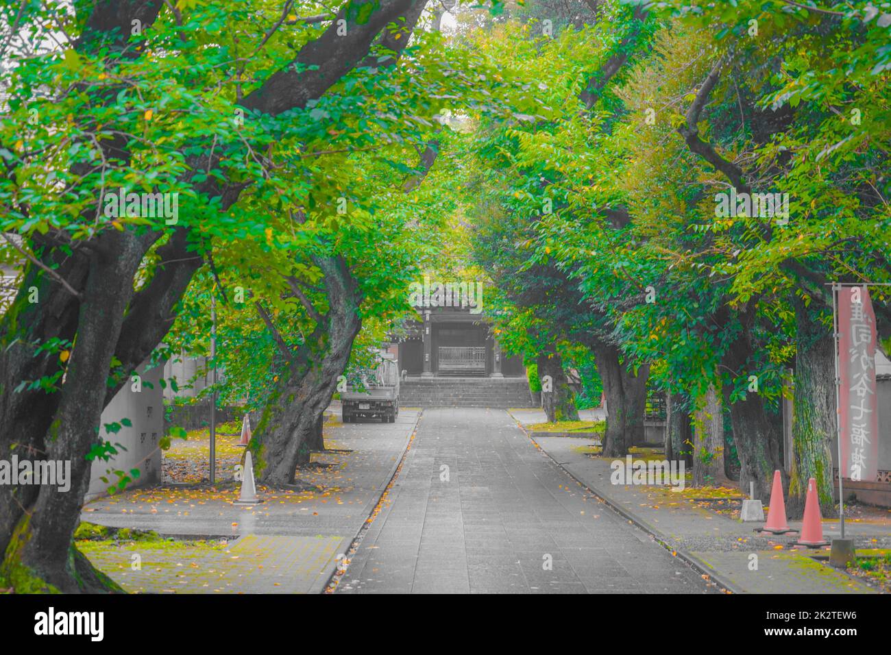 The city of the new greenish green and the city of the valley Stock Photo