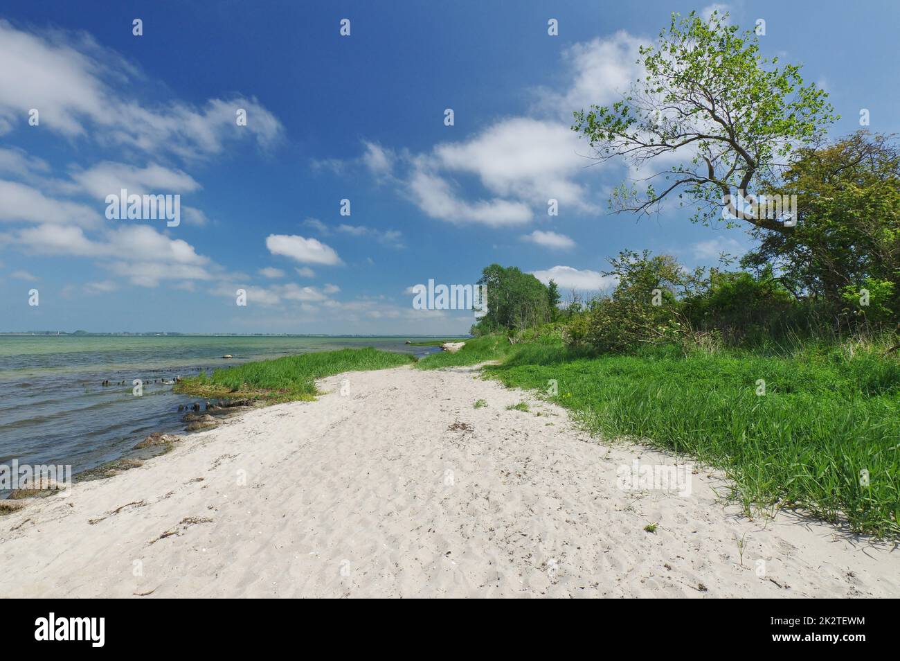 On the natural beach, Baltic Sea, Zierow, Bay of Wismar, Nordwestmecklenburg, Mecklenburg-Vorpommern, Germany Stock Photo