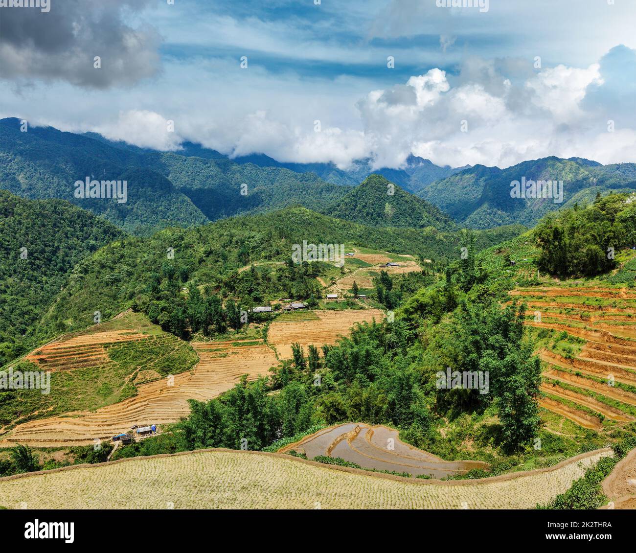 Rice field terraces. Near Sapa, Vietnam Stock Photo
